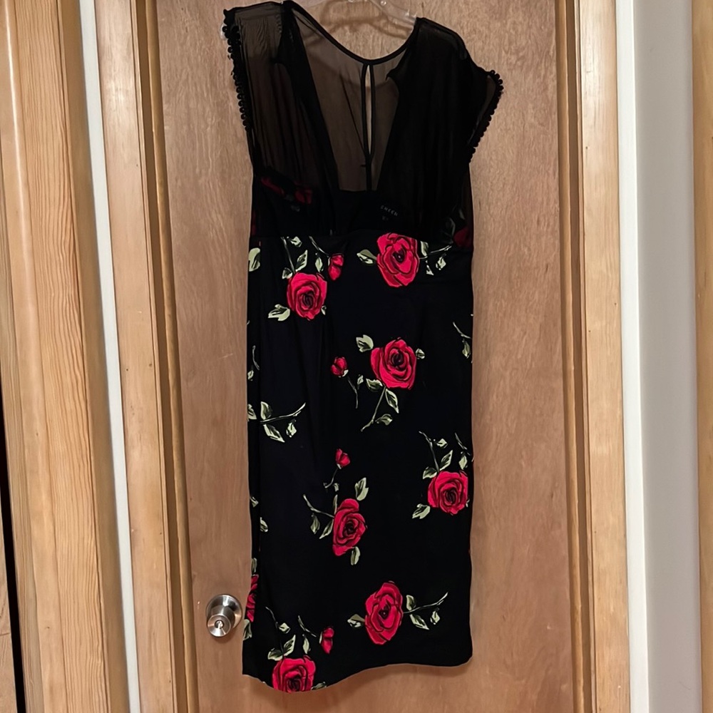Sheen vintage inspired dress